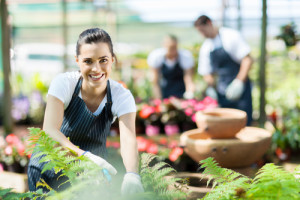 Troy MI Small Business Insurance Agents